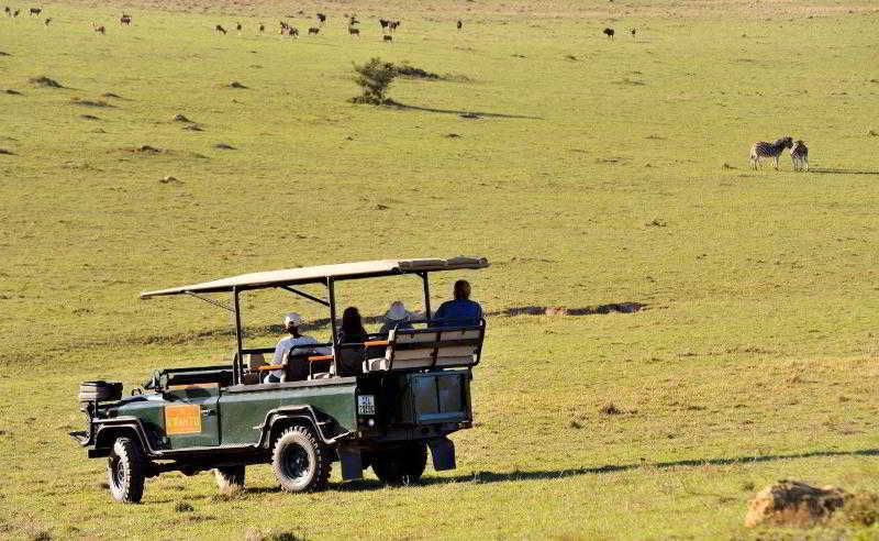 Kwantu Private Game Reserve Sidbury Exterior foto