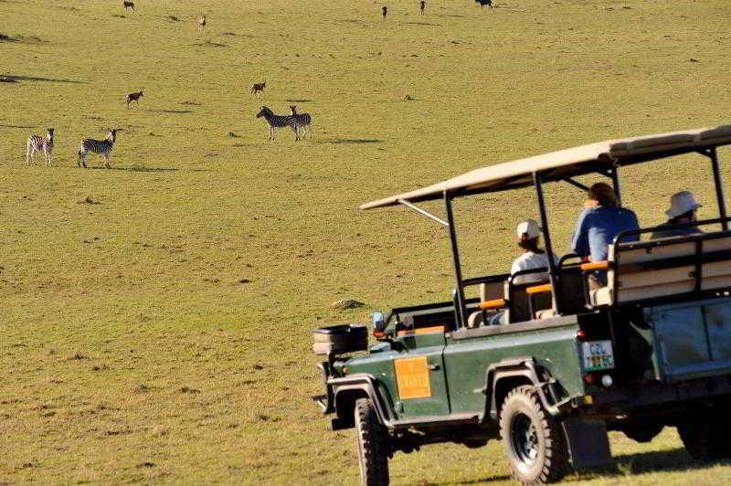 Kwantu Private Game Reserve Sidbury Exterior foto