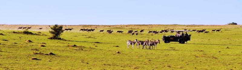Kwantu Private Game Reserve Sidbury Exterior foto